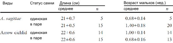Длина самок и возраст выводка у одиноких особей и находящихся в паре